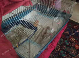 Guinea pig or small rodent cage