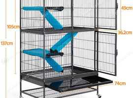 LARGE CAGE AND MALE YOUNG RATS FOR SALE
