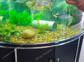 Beautiful Large Corner Tank
