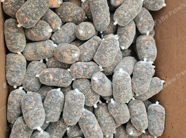 PVA bags tench carp bream rigs pellets boilies