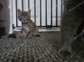 2 beautiful boys
