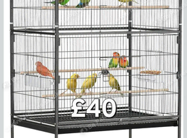 Bird cages for sale