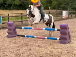 12.2hh lead rein or second pony