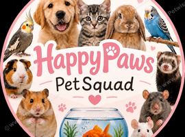 Dog walking and pet sitting