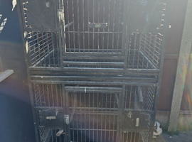 Multiple breeding cages