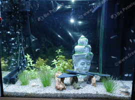 Juwel lido 120ltr full set up.