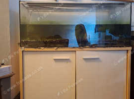 Big fishtank and equipment