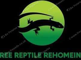 *****Reptile Rehoming / Rescue Service.*****