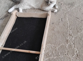 Siberian