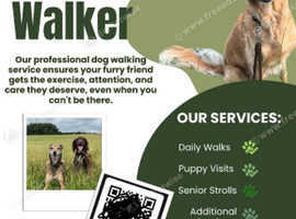 Dog walking services