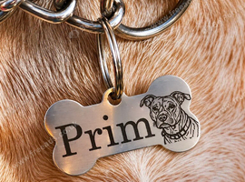 Personalised dog ID tag