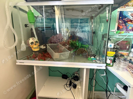 Fish tank