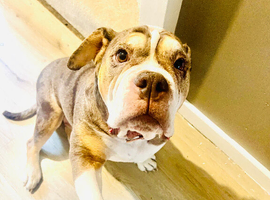 Beautiful girl