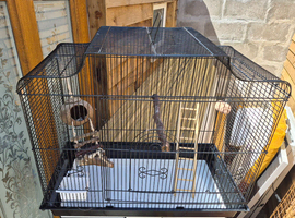 Large bird cage