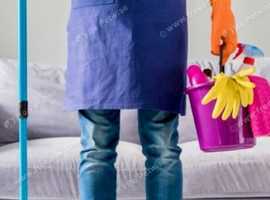 Domestic Cleaning Serives