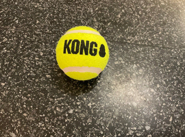 Kong dog ball