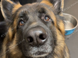 Pep