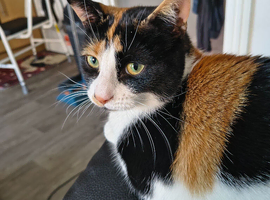 Sweet girl