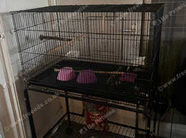 Bird cage