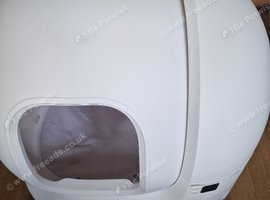 Automatic litter box
