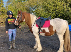 Stunning chunky cob