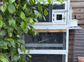 Pawhut bird aviary
