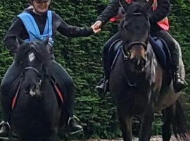 Horse Riding Blairgowrie