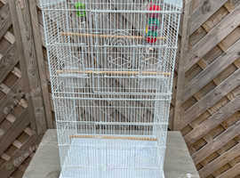 canaries, budgie cage