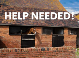 Help Required With Horses and on the yard