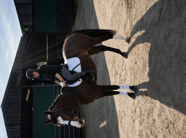 Horse for loan