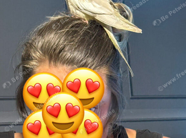 Tame Young Baby Pied Cockatiel