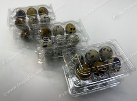 Fertile quail eggs