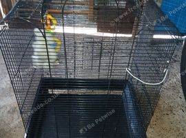 2 medium bird cages