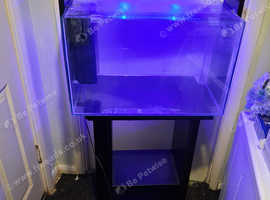 Fishtank