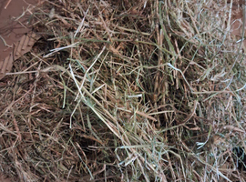 Large Box/Bale of Meadow Hay