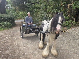 Ride and Drive, mother and daughter share pony
