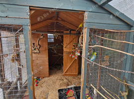 Home for budgies