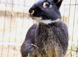 6 month old looking for forever home