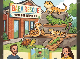 Rehome your reptile