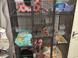 Pet cage and accessories