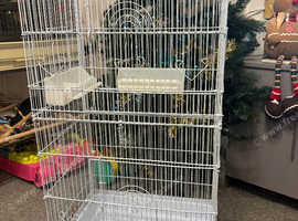 Tall white bird cage & bowls
