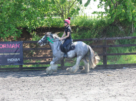 Sad sale of our super pony