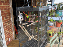 Parrot cage