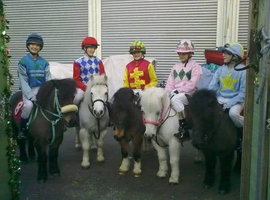 Spgn proven winning ponies for sale