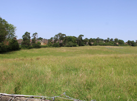 Three acre horse grazing paddock for rent