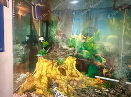 Full tank set up with fish