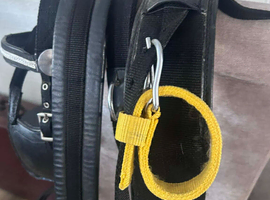 Pony harness