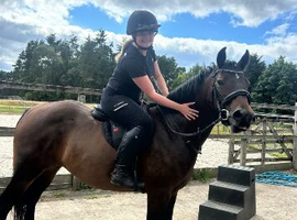 SPECIAL FAMILY PONY