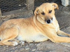 LUNA &ndash; The Devoted Mum Who Never Gave Up