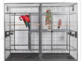 Double parrot cage